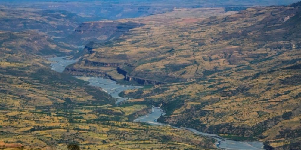 для статей.jpg