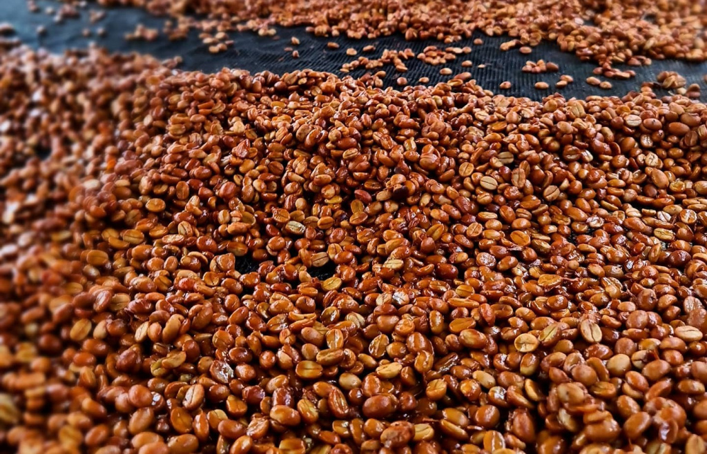 baho cofe.jpg baho cofe.jpg