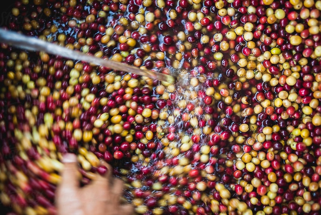 мытая обработка.jpg