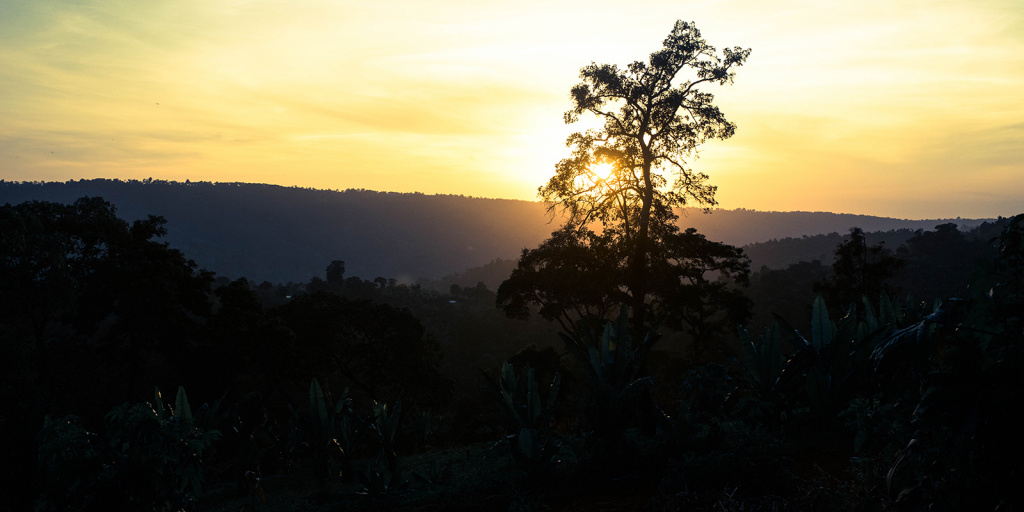 Sidamo-Zone.jpg Sidamo-Zone.jpg