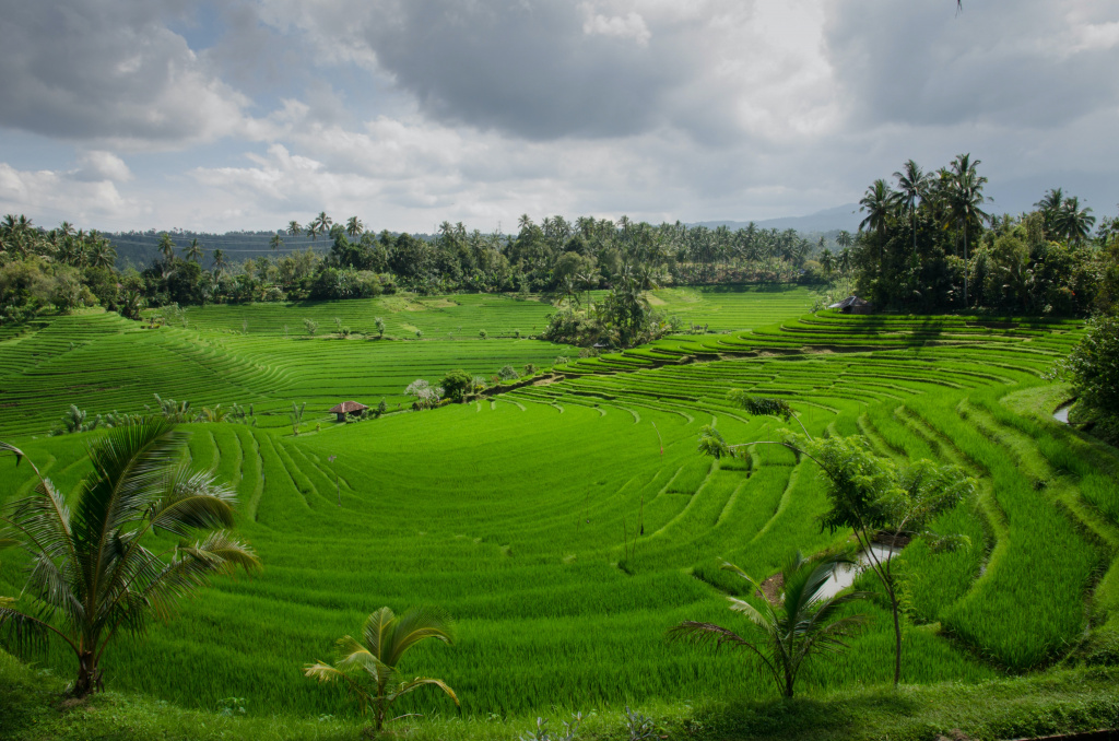 clouds-cloudy-agriculture-farm-654.jpg clouds-cloudy-agriculture-farm-654.jpg