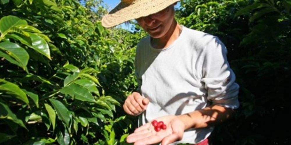 для статей.jpg