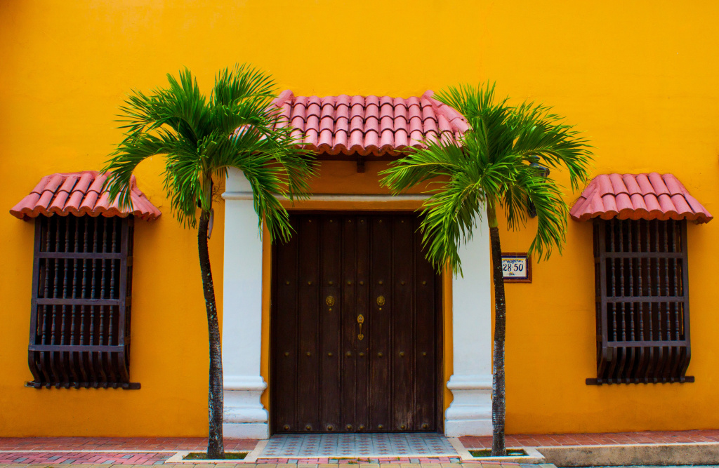 2-green-palm-trees-beside-wooden-door-3075974.jpg 2-green-palm-trees-beside-wooden-door-3075974.jpg