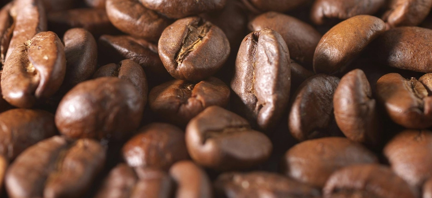 Что такое specialty coffee и чем он отличается от обычного?