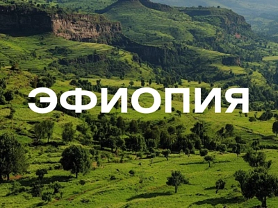 Директ-трейд из Эфиопии: 3 лота, которые мы выбрали для вас