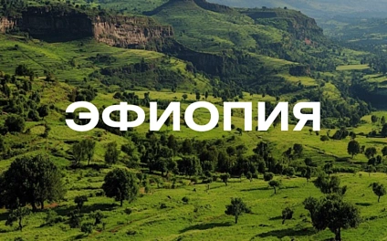 Директ-трейд из Эфиопии: 3 лота, которые мы выбрали для вас