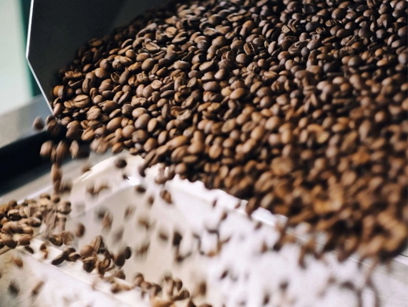 Краткая история генома арабики: как случайная гибридизация изменила мировой кофе