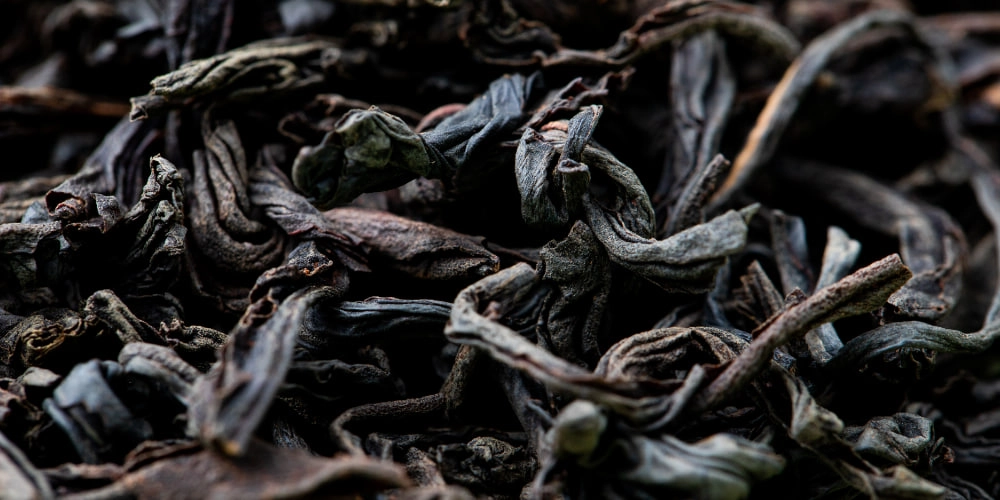 Чем пуэр отличается от обычного чая: ферментация, вкус и выдержка