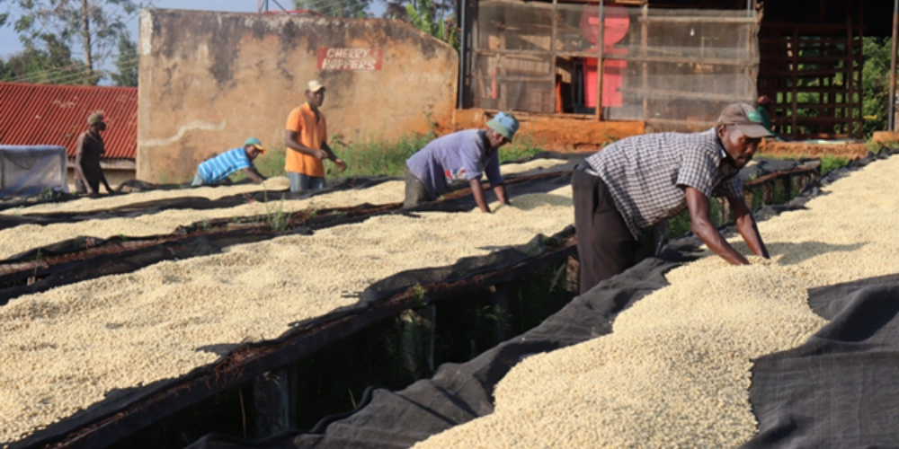 для статей - 2024-10-30T172130.834.png для статей - 2024-10-30T172130.834.png