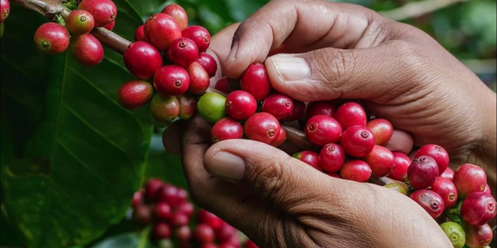 для статей - 2025-12-18T180254.838.png для статей - 2025-12-18T180254.838.png