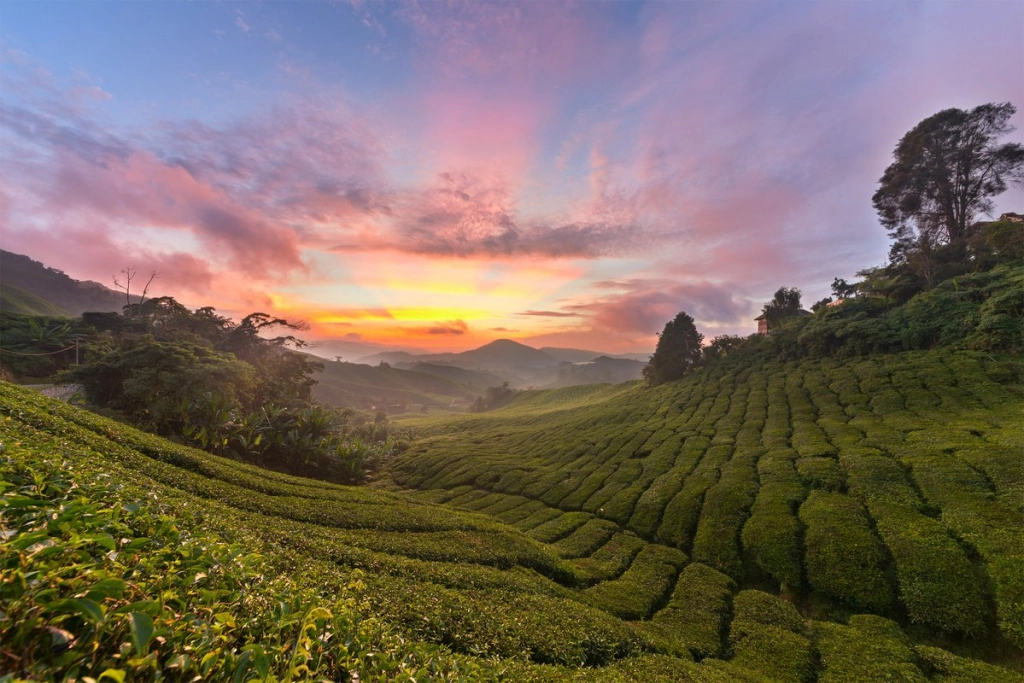 Шри-Ланка.jpeg Шри-Ланка.jpeg