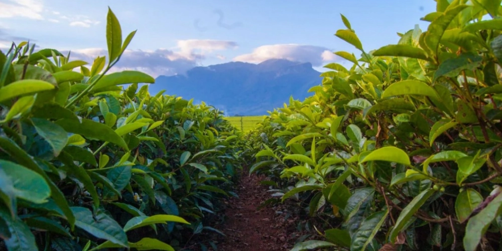 для статей - 2024-10-19T183022.644.png