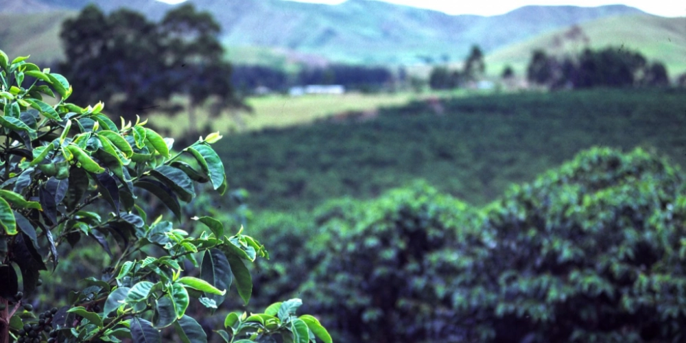 для статей - 2024-10-19T184845.688.png