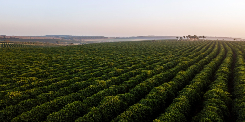 для статей - 2024-11-09T165519.135.png для статей - 2024-11-09T165519.135.png