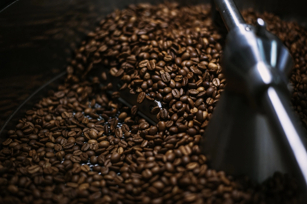 IMG_9531.JPEG IMG_9531.JPEG