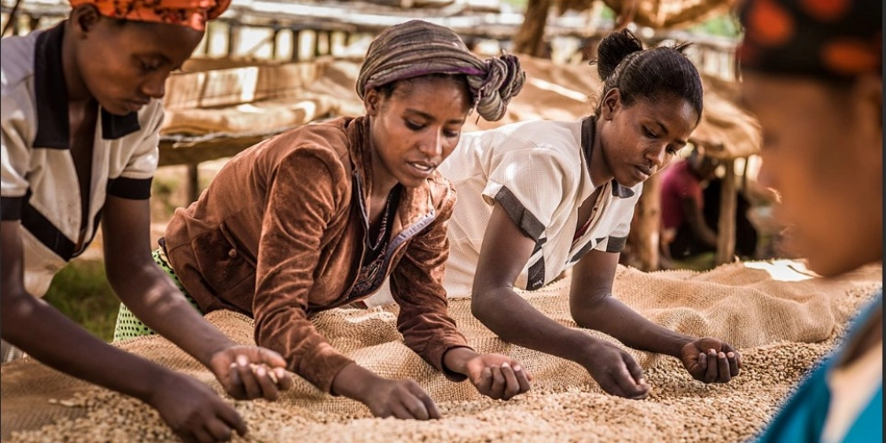 для статей - 2024-10-19T151558.626.png для статей - 2024-10-19T151558.626.png