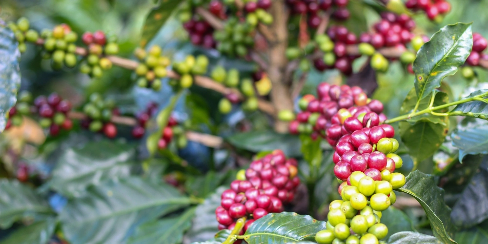 для статей - 2025-12-18T175819.181.png