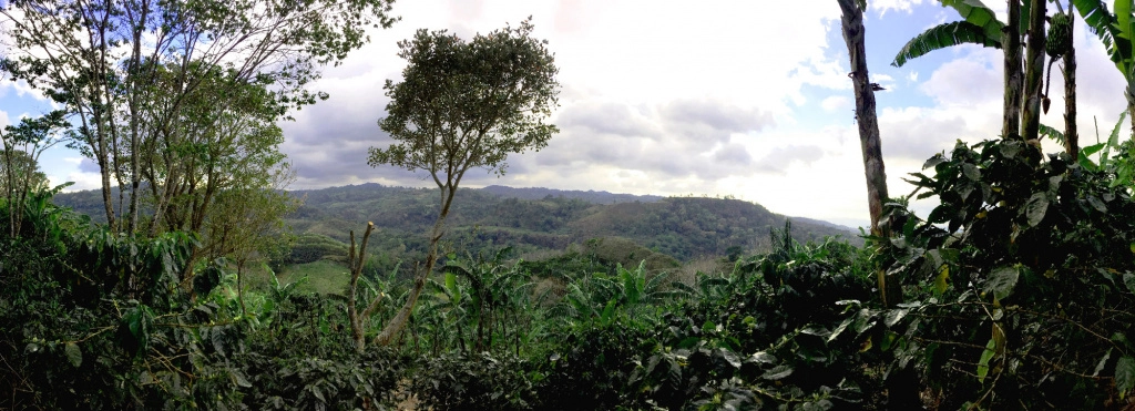 Эль .jpg Эль .jpg