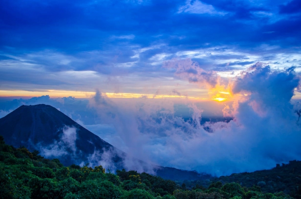 сальвадор финка румания2.jpg сальвадор финка румания2.jpg