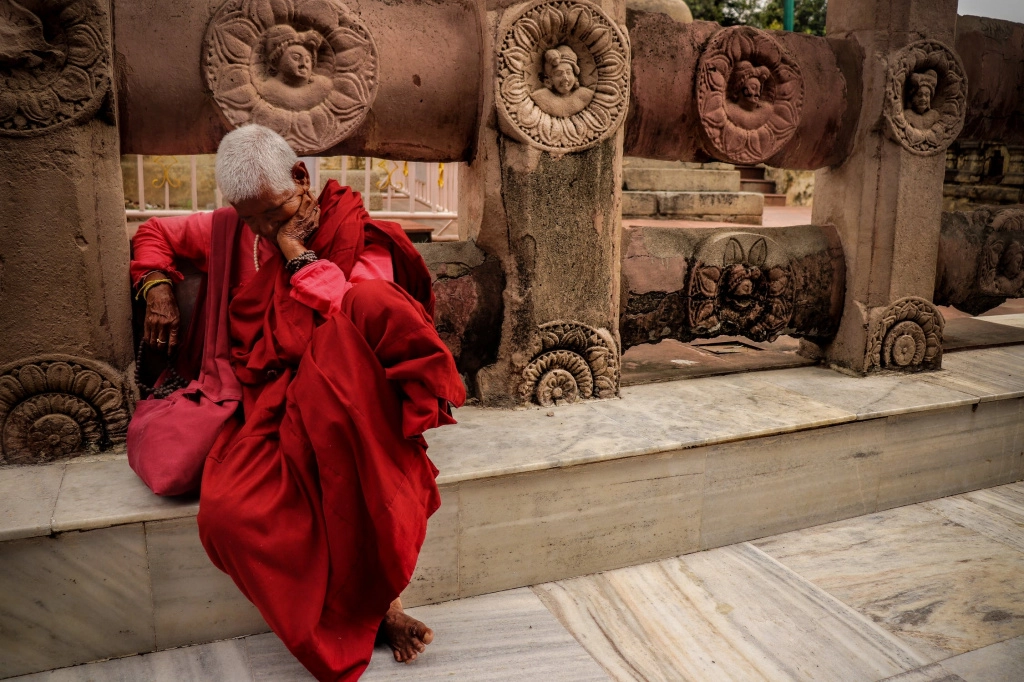 pexels-photo-2421468.jpeg pexels-photo-2421468.jpeg