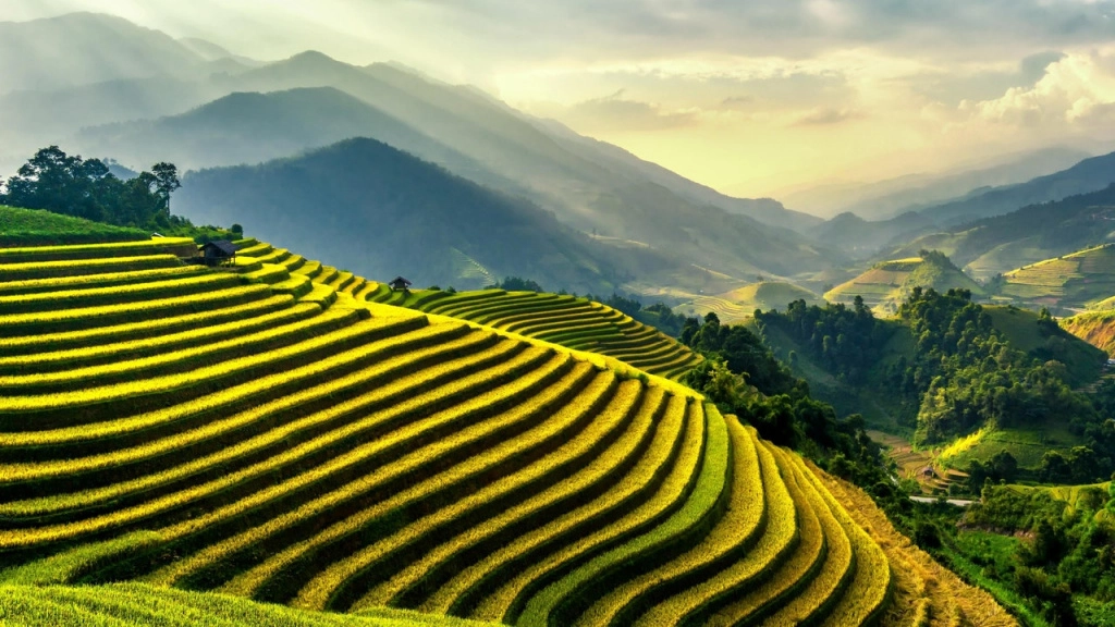 pexels-thanhhoa-tran-1462892.jpg pexels-thanhhoa-tran-1462892.jpg