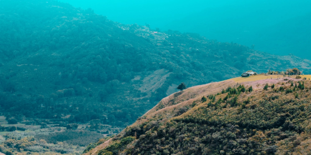 для статей - 2024-10-19T151049.600.png для статей - 2024-10-19T151049.600.png