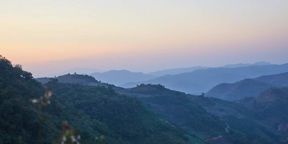 для статей - 2024-11-15T153051.738.png для статей - 2024-11-15T153051.738.png