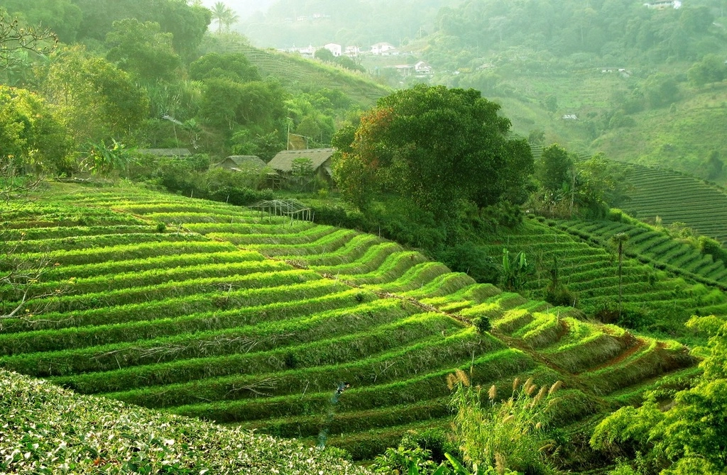 рухуна.jpg рухуна.jpg