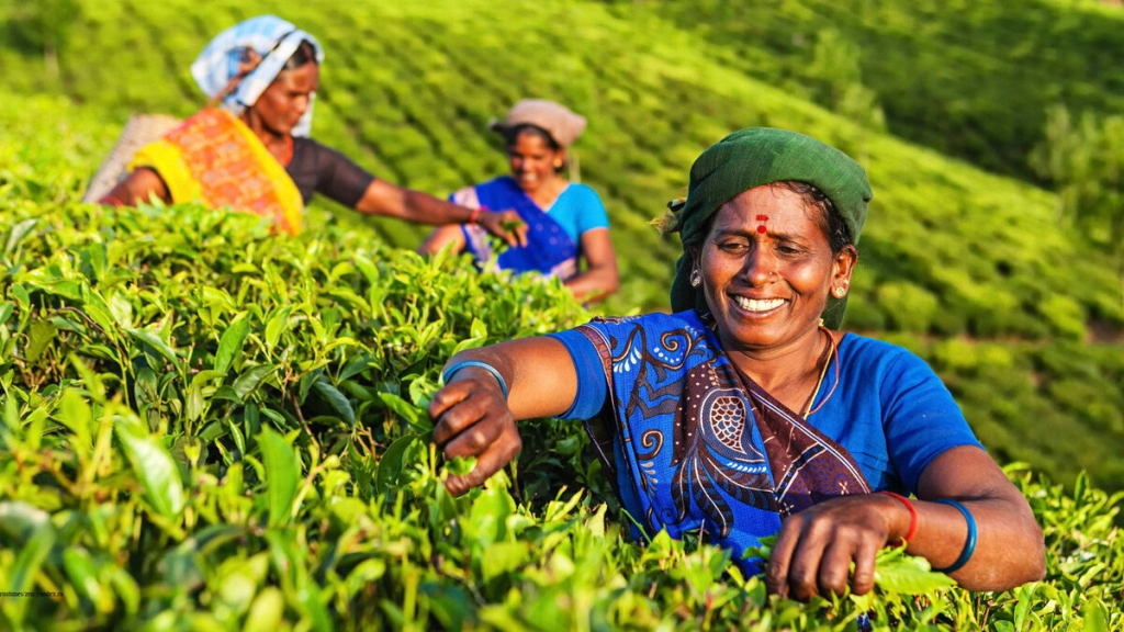 Татарский.jpeg Татарский.jpeg